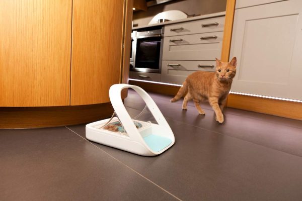 Sure Petcare SureFlap Selective Automatic Stress Free - Image 4