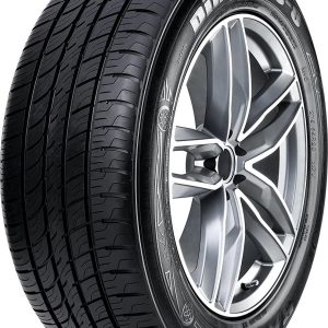 Radar Dimax AS-8 255/50R20 109V Passenger Tire